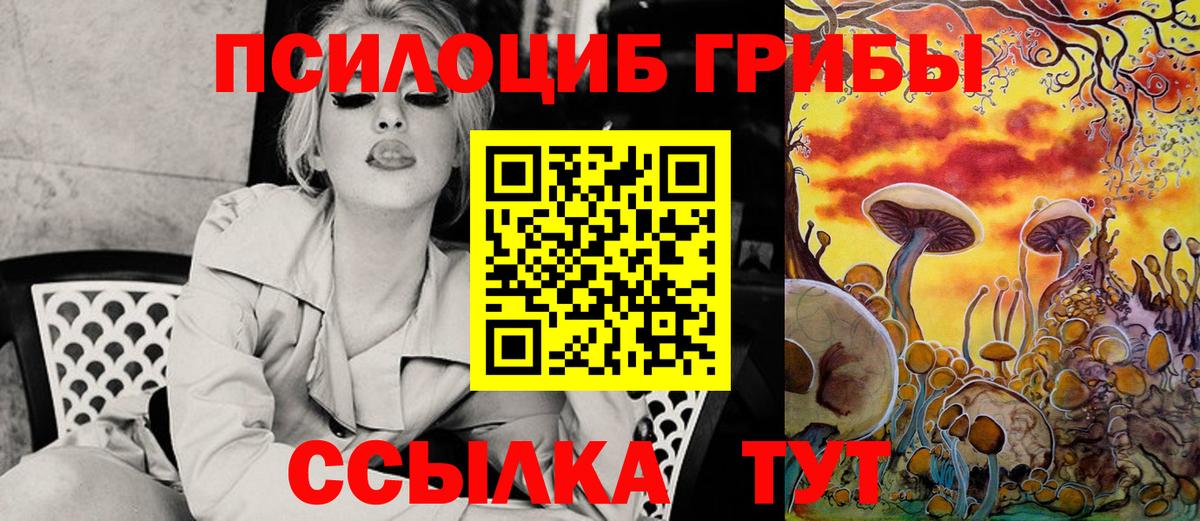 Псилоцибиновые грибы Magic Shrooms  Дербент 