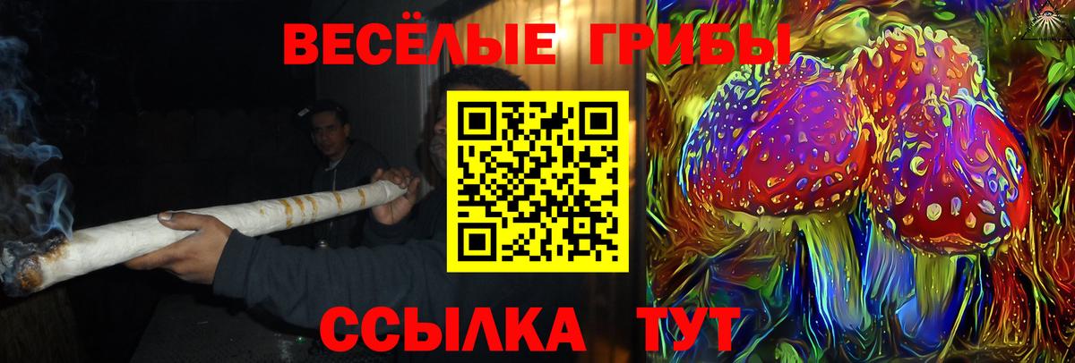 Псилоцибиновые грибы прущие грибы  Вход с VPN  где продают наркотики  Дербент 